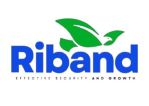 Riband Investment and Insurance Services logo