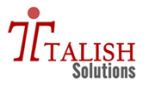 Talish Solutions Company Logo