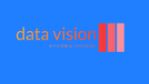 Data Vision Consulting & Services UG logo