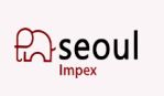 Seoul Store Trading Pvt Ltd logo