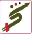 Softtech Finance logo