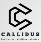 Callidus staffing company Pvt Ltd logo