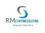 Rm Staffing Solution Company Logo