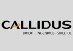 callidus staffing solutions logo