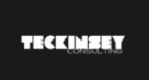 Teckinsey Consulting Company Logo