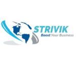 Strivik Business Solutions Pvt.Ltd. Company Logo