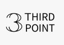 Third Point E Services Pvt. Ltd. logo