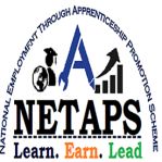 Netaps Foundation Company Logo