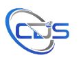 CDS Career Solutions Consultancy logo