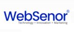 Websenor Company Logo