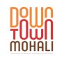 Down Town Company Logo