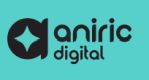 Aniric Digital Company Logo