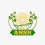 Ansh Exim Company Logo