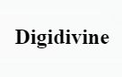 Digidivine Online Services Private Limited logo