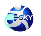 Esky Overseas Hr Services Pvt Ltd Company Logo