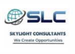 Skylight Consultants Company Logo