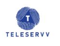 Teleservv India Pvt Ltd logo