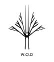 Wooden Owl Design Pvt. Ltd. logo