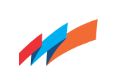 Indiafirst Life Insurance logo