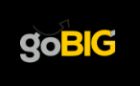 Go Big Social logo