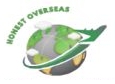 Honest Overseas logo