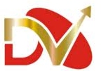 Data Vision Private Limited logo