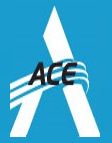 ACE Human Capital Limited logo