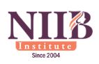 New Image International Institutes Pvt. Ltd logo