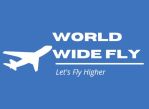 World Wide Aviation and Training Services Company Logo