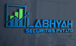 Labhyah Securities Pvt. Ltd. Company Logo