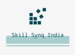 Skill Synq India logo