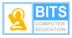 BITS Pvt Ltd logo