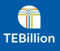 Tebillion System Pvt Ltd logo