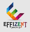 Effizent Seele Pvt Ltd logo