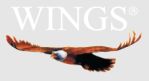 Wings Brand Activations Pvt Ltd Company Logo