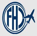 Fly High Consultancy and Travels logo