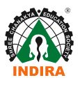 Indira National School logo