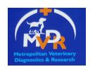 Metropolitan Veterinary Diagnostics & Research Company Logo