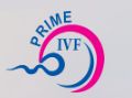 Prime IVF logo