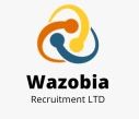 Wazobia Recruitment Agency logo