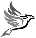Black Kite Hr Services Company Logo