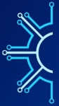 MS CPL India logo