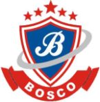 Bosco Public School Company Logo