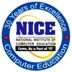 Nice Computer Institute Company Logo