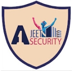 A1 Jeet Securities Privet Limited logo