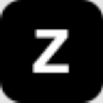 Zed Consultancy Services Company Logo