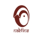 Nabard Fianancial Services logo