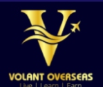 Volant Overseas Pvt Ltd logo