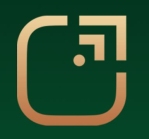 Strive Overseas Consultancy Company Logo