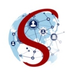 D Solutions Group logo